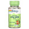 Uva Ursi, 460 mg, 100 VegCaps