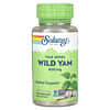 True Herbs, Wild Yam, 400 mg, 100 VegCaps