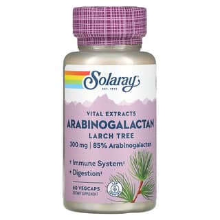 Solaray, Арабиногалактан, экстракт лиственницы, 300 мг, 60 вегетарианских капсул