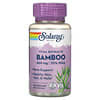 Bamboo Vital Extract, 600 mg, 60 VegCaps