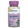 Vital Extracts Bilberry, 160 mg, 30 VegCaps