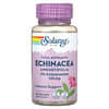 Vital Extracts, Echinacea Angustifolia, 125 mg, 60 VegCaps