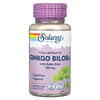 Vital Extracts, Ginkgo Biloba With Gotu Kola, 120 mg, 60 VegCaps