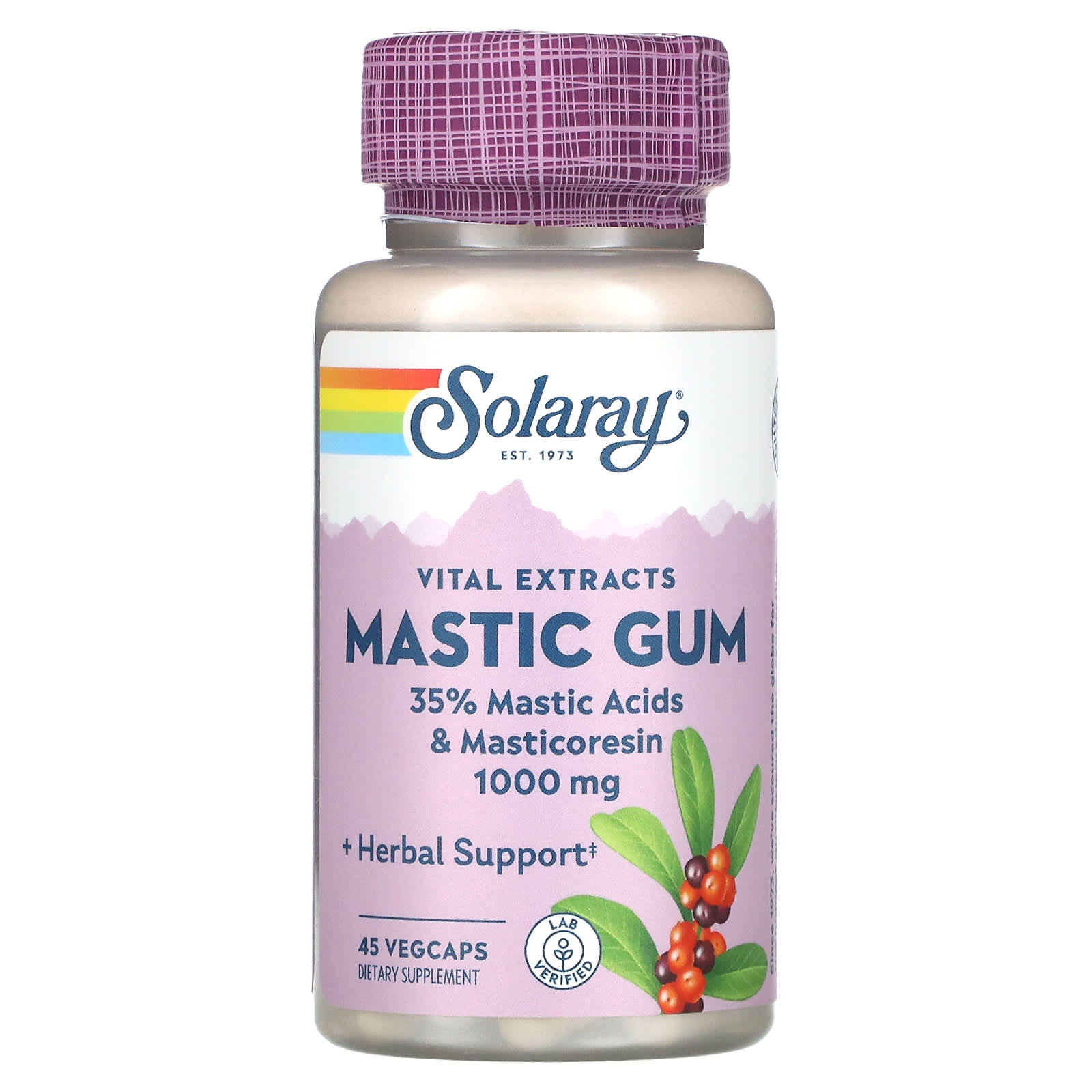 Solaray Mastic Gum Extract, Healthy Gastrointestinal and Digestive  Function Support, 1000 Mg