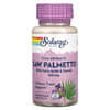 Vital Extracts Saw Palmetto, 160 mg, 60 cápsulas blandas