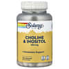 Choline & Inositol, 100 VegCaps