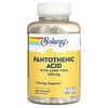 Pantothenic Acid with Aloe Vera, 500 mg, 250 VegCaps