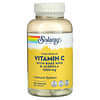 Timed Release Vitamin C with Rose Hips & Acerola, 1,000 mg, 250 VegCaps