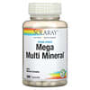 Mega Multi Mineral, Iron Free, 100 Capsules