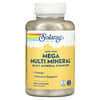 Mega Multi Mineral, 철분 무함유, 캡슐 200정