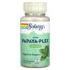 Super Papaya-Plex, натуральная свежая мята, 90 жевательных таблеток