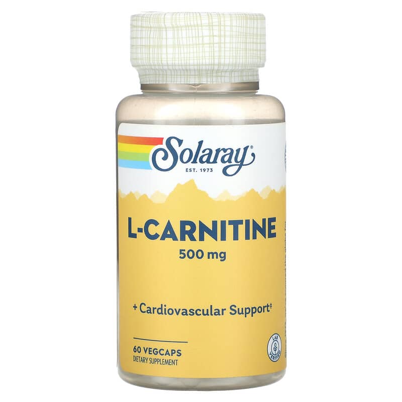 L-CARNITINE 180錠×28個 Amazon.com: Kirkman - Acetyl L-Carnitine 250 mg - 90