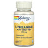 L-Theanine With Green Tea, 200 mg, 45 VegCaps