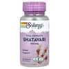 Shatavari-Wurzelextrakt, 500 mg, 60 pflanzliche Kapseln