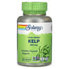 Hierbas verdaderas, Kelp, 550 mg, 180 cápsulas vegetales