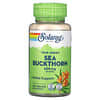 True Herbs, Sea Buckthorn, 600 mg, 100 VegCaps (300 mg per Capsule)