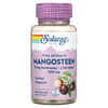 Mangosteen Vital Extracts, 500 mg, 60 VegCaps