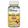 Solaray, 메가 포텐시 메틸 B-12, 천연 체리 맛, 5000 mcg, 60 사탕