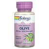 Vital Extracts, Olive, 250 mg, 60 VegCaps