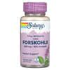 Ayurvedic Herbs, Super Forskohlii, 400 мг, 60 вегетарианских капсул