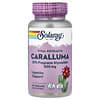 Vital Extracts, Caralluma, 500 mg, 30 VegCaps