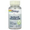 Bacillus Coagulans, 60 vegetabilske kapsler