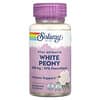 Vital Extracts, White Peony, 500 mg, 60 pflanzliche Kapseln