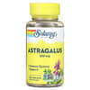 Astragale cultivée biologiquement, 550 mg, 100 capsules végétariennes