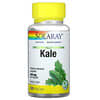 Organically Grown Kale, 440 mg, 100 VegCaps