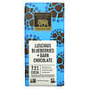 Luscious Blueberries + Dark Chocolate, 72% Cocoa, 3 oz (85 g)