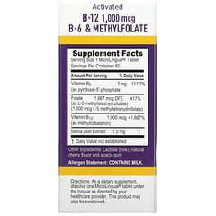 Superior Source, Activated B-12 Methylcobalamin, B-6 (P-5-P) & Methylfolate, 60 MicroLingual Instant Dissolve Tablets