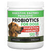 Probiotiques, Digestion + Immunité, Pour chiens, 120 gommes à mâcher, 288 g