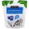 Blueberries Dipped in Greek Style Yogurt, 5 oz (142 g)