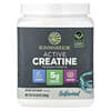 Sunwarrior, Sport, Creatina Mono-hidratada Active, Sem Sabor, 300 g (10,58 oz)