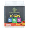 Sunwarrior, Sport, Suplemento de aminoácidos activos, Mango, 570 g (1,25 lb)