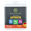 Acides aminés actifs, Mangue, 570 g