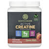 Sunwarrior, Active Creatine Monohydrate, Rainbow Sherbet, 11.8 oz (335 g)