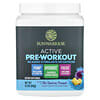 Active Pre-Workout, Blue Raspberry Pineapple, 315 g (11.1 oz)