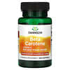 бета-каротин, 10 000 МО (3000 мг RAE), 250 капсул