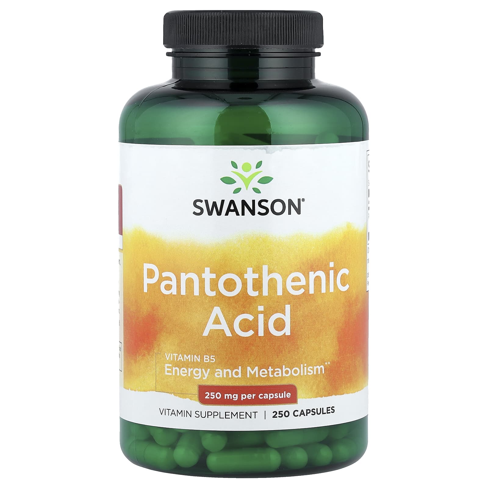ビタミン pantothenic ACid 61sqaOK7HXL._AC_UF1000,