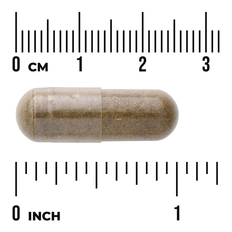 Full Spectrum®（フルスペクトル）ダミアナ、510mg、100粒