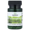 Pycnogenol®, 50 mg, 50 cápsulas