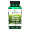 Extrato de Ginkgo Biloba, 60 mg, 120 Cápsulas