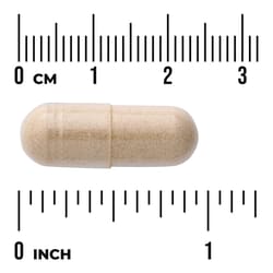 Swanson Vitamins, Full Spectrum® 南非醉茄，100 粒全素膠囊（每粒 450 毫克）