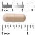 Swanson Vitamins, Full Spectrum® Ashwagandha, 450 mg, 100 Vegan Capsules - Image 3