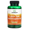 Larch Tree Arabinogalactan, 500 mg, 90 Capsules