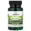 Relora®, 250 mg, 90 Capsules