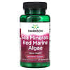 Minéraux marins : Algues marines rouges, 60 capsules végétariennes