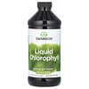 Liquid Chlorophyll, 100 mg, 16 fl oz (473 ml)