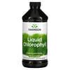 Liquid Chlorophyll, 100 mg, 16 fl oz (473 ml)